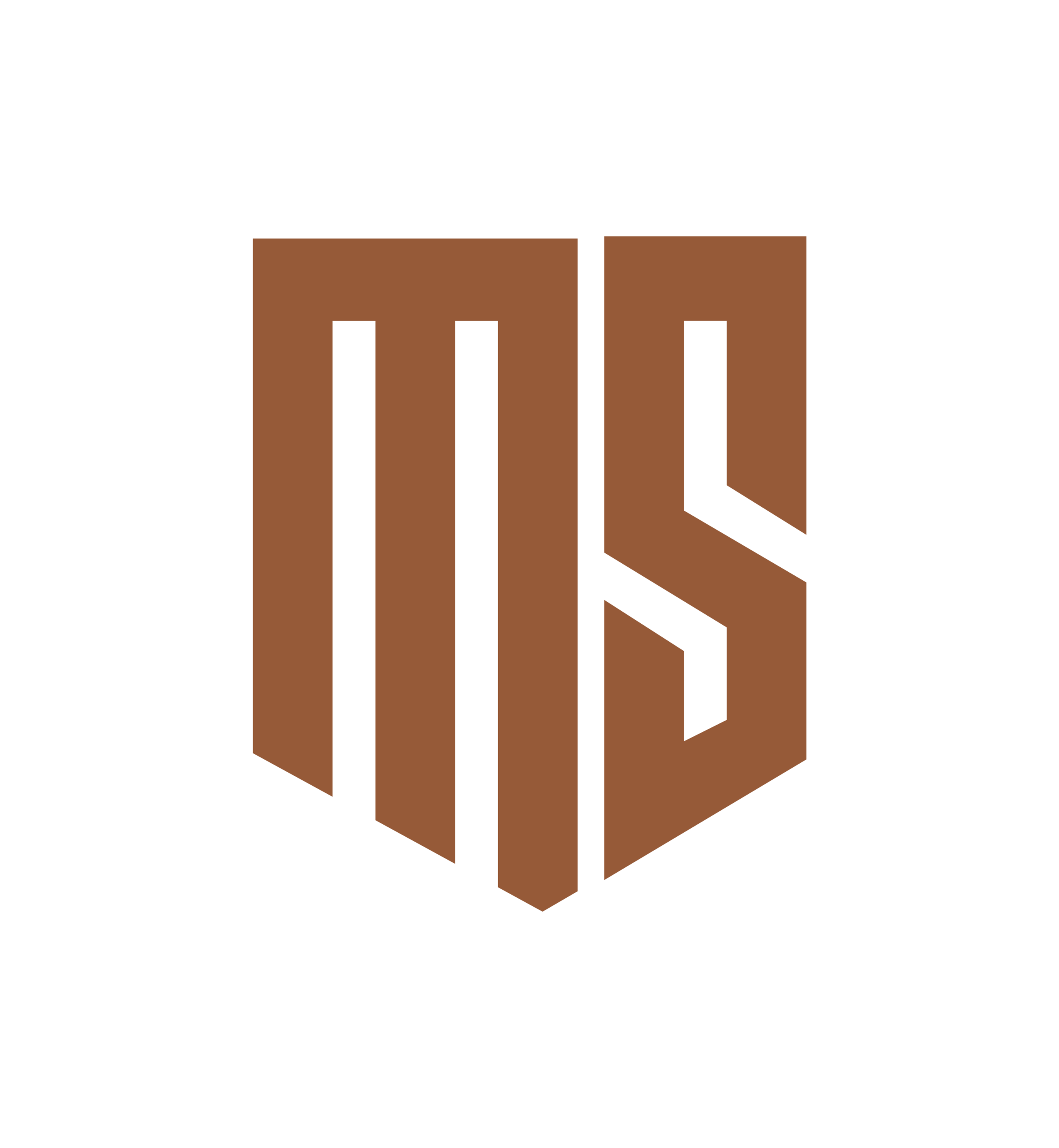ms logologo